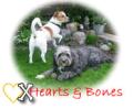 Hearts & Bones logo