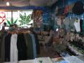 Hemp in Avalon image 2