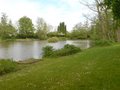 Henfold Lakes Fishery and Caravan Park image 6