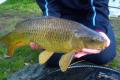 Henfold Lakes Fishery and Caravan Park logo