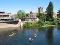 Hereford image 2