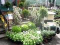 High Peak Garden Centre image 1