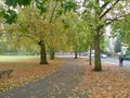 Highbury Fields image 2