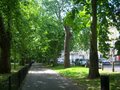 Highbury Fields image 3