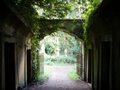 Highgate Cemetery image 6