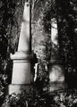 Highgate Cemetery image 7