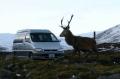 Highland Campervans image 6