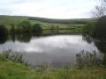 Hillside Fishery image 3