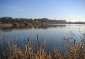 Hinchingbrooke Country Park image 2
