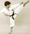 Hokushin Karate Academy logo