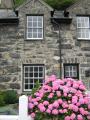 Holiday cottage in Tremadog logo