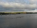 Hollingworth Lake Country Park Visitor Centre image 7