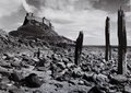 Holy Island image 2