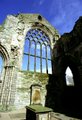 Holyrood Abbey image 3