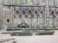 Holyrood Abbey image 7