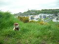 Holyrood Park image 6