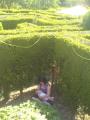 Hoo Hill Maze image 1