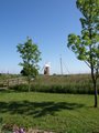 Horsey Windpump image 9