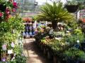 Horsfields Nursery (Garden Centre) image 2