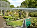 Horsfields Nursery (Garden Centre) image 4