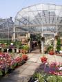 Horsfields Nursery (Garden Centre) image 5