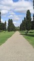 Horsham Park image 2