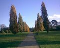 Horsham Park image 4
