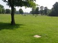 Hove Park image 2