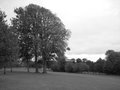 Hove Park image 4
