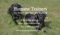 Humane Trainers image 4