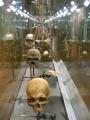 Hunterian Museum and Art Gallery image 2
