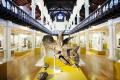 Hunterian Museum and Art Gallery image 5