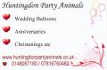 Huntingdon Party Animals image 5