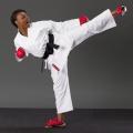 Hurricane Martial Arts Supplies image 1