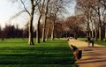 Hyde Park image 8