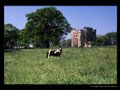 Hylton Castle image 2