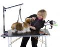 I-CHIP & Mobile Dog grooming image 2