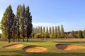 Ilford Golf Club image 7