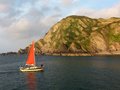 Ilfracombe Harbour image 4