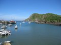Ilfracombe Harbour image 5
