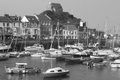 Ilfracombe Harbour image 7