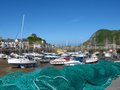 Ilfracombe Harbour image 8