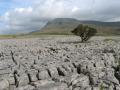 Ingleborough View Guest House image 9