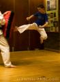 Intrepid Taekwondo (Fife) : Inverkeithing image 2