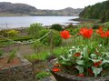 Inverewe Garden image 8