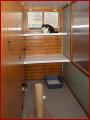 Irchester Cattery image 5