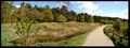 Irchester Country Park image 10