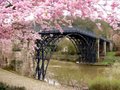 Ironbridge image 5