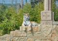 Isle Of Wight Zoo & Tiger Sanctuary image 2