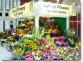 Isle of Flowers Florists in London Bridge image 1